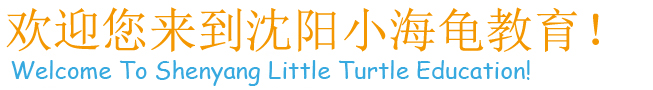 沈阳小海龟自闭症训练中心